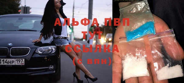 мескалин Богданович
