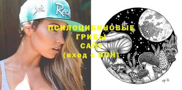 мескалин Богданович