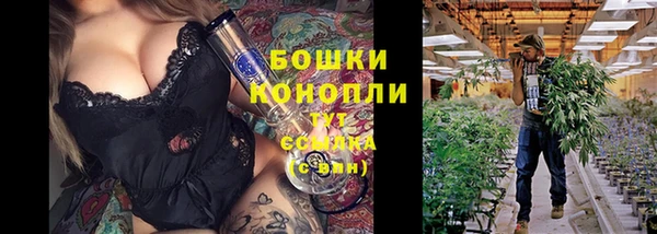 хмурый Богородск