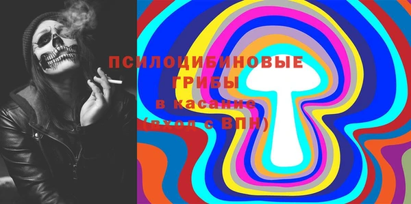 хмурый Богородск