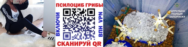 Галлюциногенные грибы MAGIC MUSHROOMS  Катав-Ивановск 