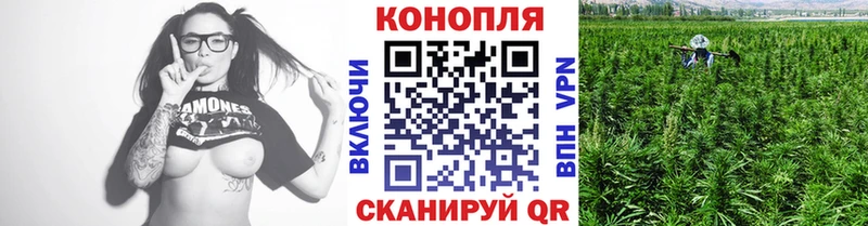 Шишки марихуана семена  darknet формула  Катав-Ивановск 